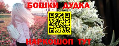 Альфа ПВП Пушкино