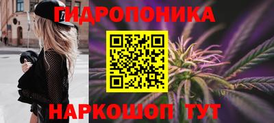 2c-b Пугачёв