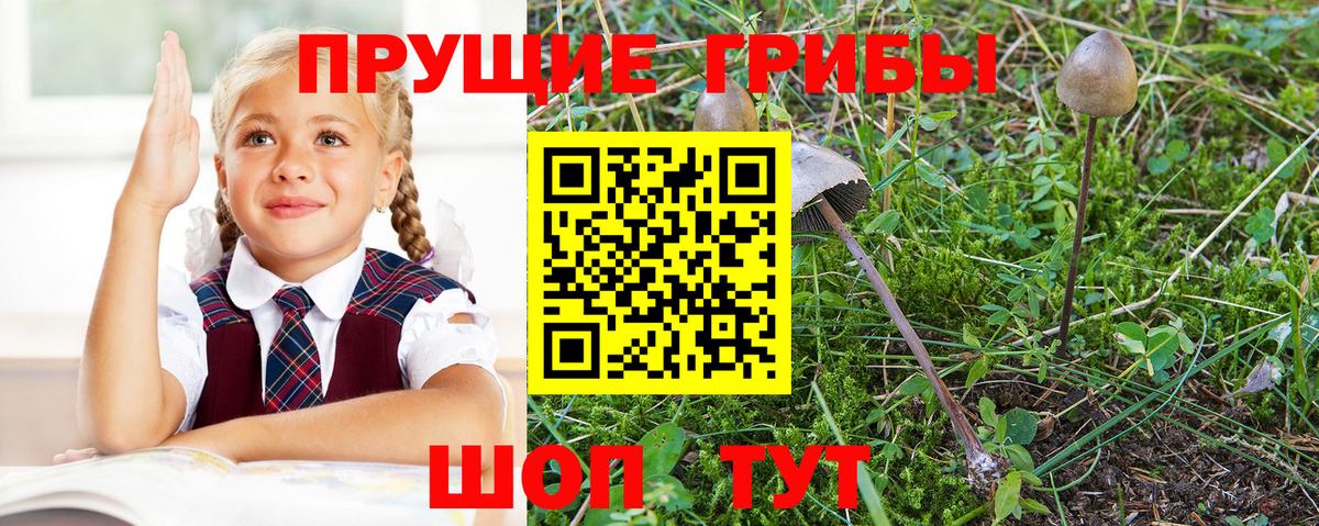 купить закладку  Псилоцибиновые грибы мухоморы  Вход с VPN  Рязань 